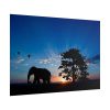 101875-142.jpg Elephant and Sunset Poster