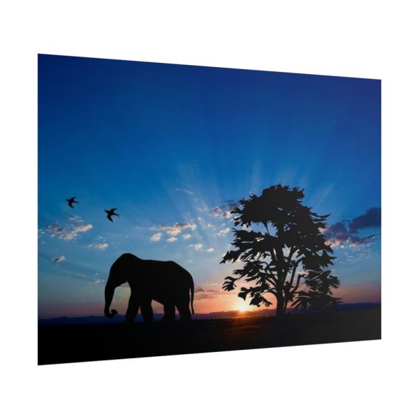 101875-142.jpg Elephant and Sunset Poster