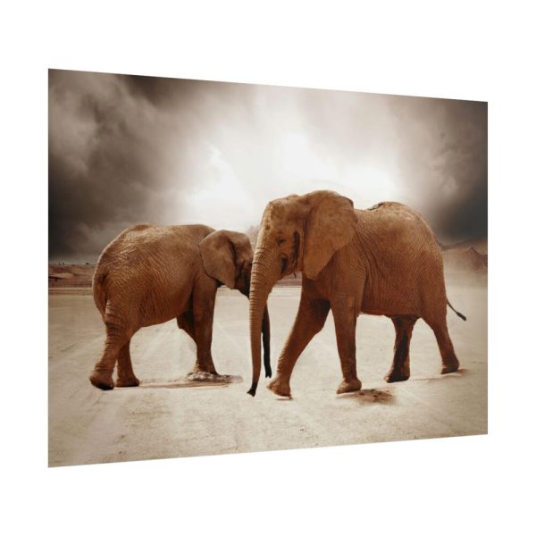 101875-147.jpg African Elephants Poster