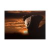 101875-150.jpg Elephant and Yellow Sky Poster