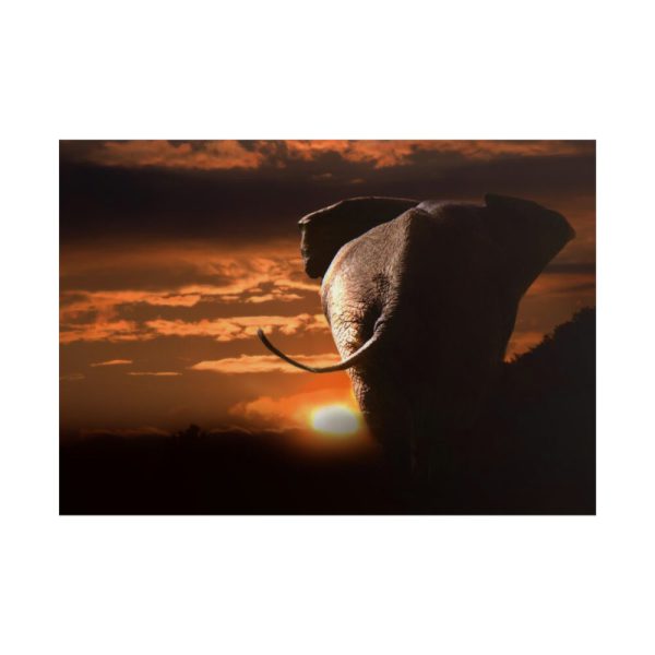 101875-150.jpg Elephant and Yellow Sky Poster