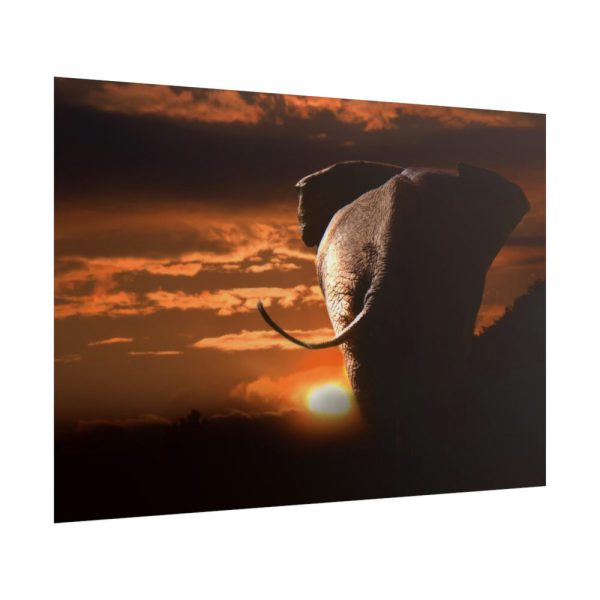 101875-152.jpg Elephant and Yellow Sky Poster