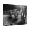 101875-157.jpg Elephants in Africa, Safari Poster
