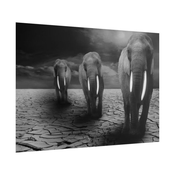 101875-157.jpg Elephants in Africa, Safari Poster