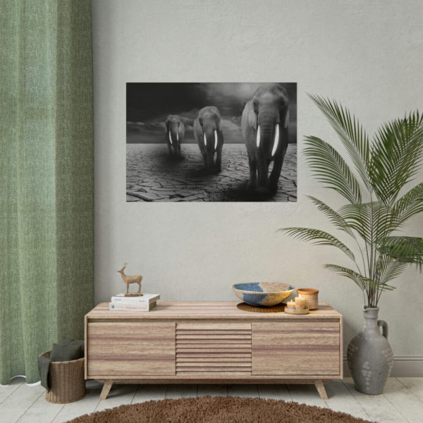 101875-158.jpg Elephants in Africa, Safari Poster