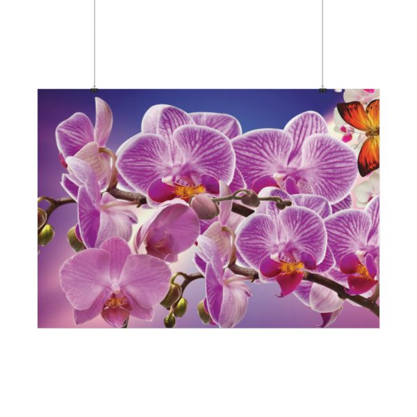Orchids Flowers Poster