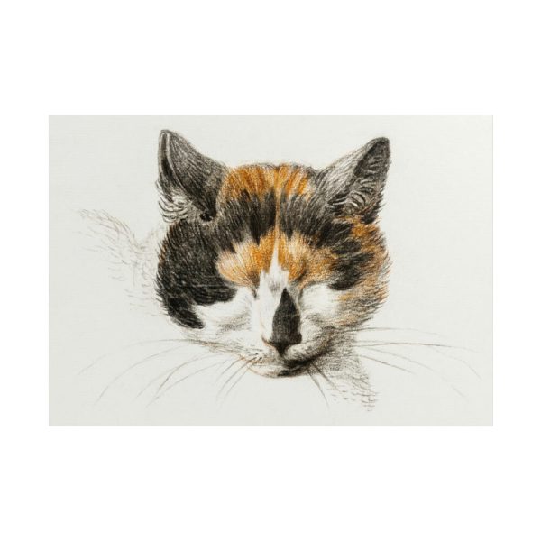 101875-165.jpg Head of a Calico Cat with Closed Eyes by Jean Bernard Poster