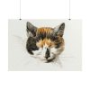 101875-166.jpg Head of a Calico Cat with Closed Eyes by Jean Bernard Poster