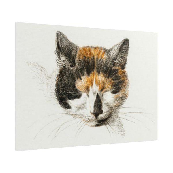 101875-167.jpg Head of a Calico Cat with Closed Eyes by Jean Bernard Poster