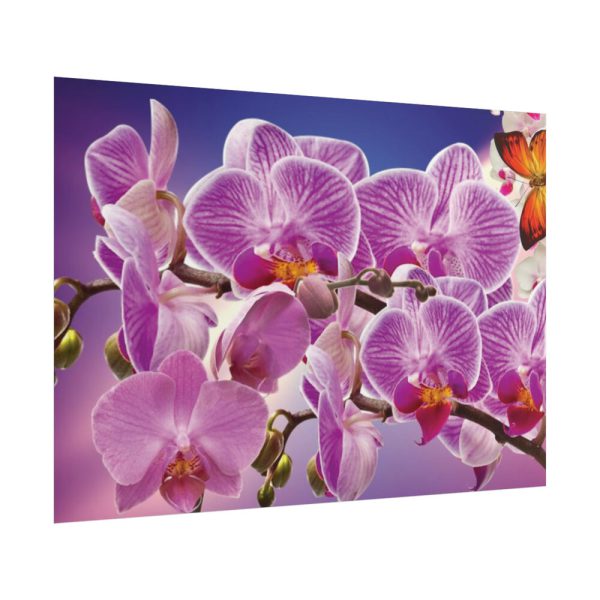 Orchids Flowers Poster