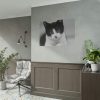 Bicolor Cat Poster