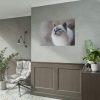 Closeup of a Blue Eyed Cat Poster