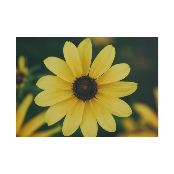 101875-180.jpg Blooming Yellow Petaled Flowers Poster