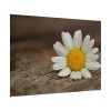 101875-192.jpg Daisy Family Poster