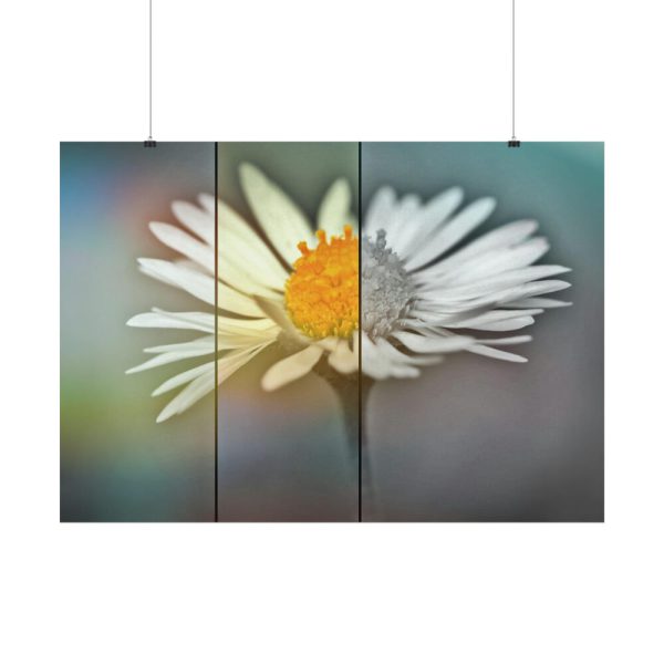 101875-196.jpg Flowering Plant Poster