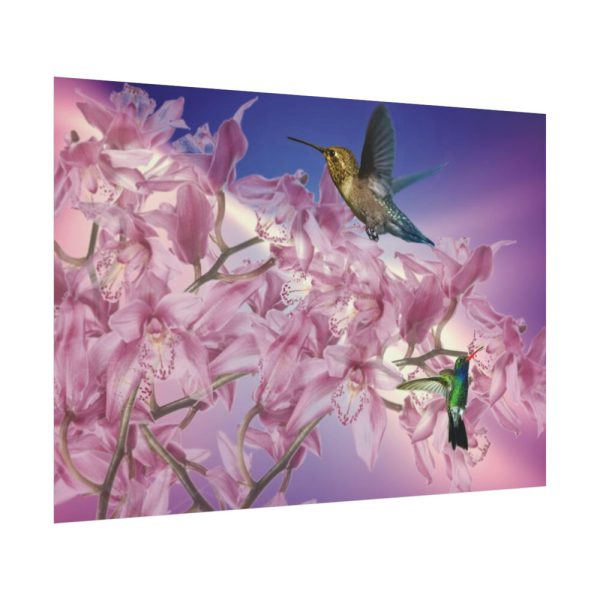 Pink Orchid Poster