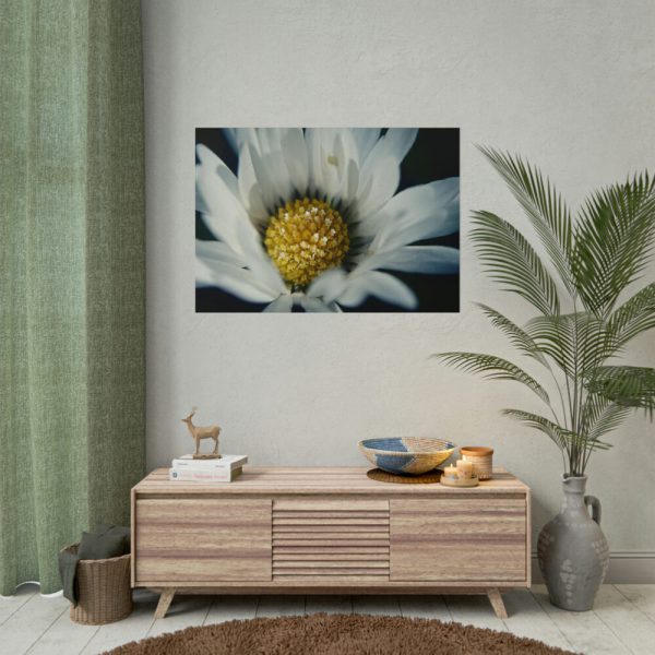 101875-203.jpg Daisy Pollen Poster