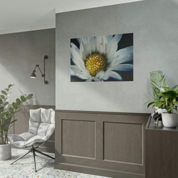 101875-204.jpg Daisy Pollen Poster