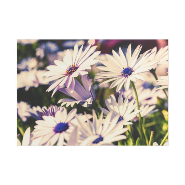 101875-205.jpg Flower Garden Poster