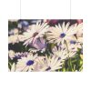 101875-206.jpg Flower Garden Poster