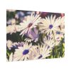 101875-207.jpg Flower Garden Poster