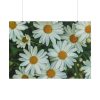 101875-211.jpg Blossom Daisy Poster