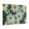101875-212.jpg Blossom Daisy Poster