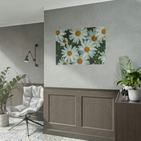 101875-214.jpg Blossom Daisy Poster