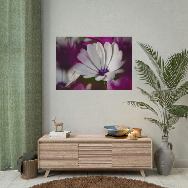 101875-218.jpg Flowering Plant Poster