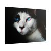 101875-222.jpg Bicolor Cat with Piercing Blue Eyes Poster