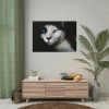 101875-223.jpg Bicolor Cat with Piercing Blue Eyes Poster