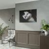 101875-224.jpg Bicolor Cat with Piercing Blue Eyes Poster
