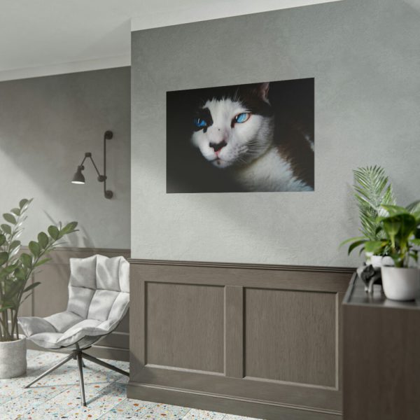 101875-224.jpg Bicolor Cat with Piercing Blue Eyes Poster