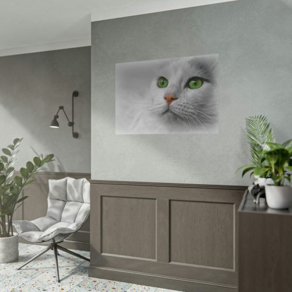 Beautiful Cat with Green Eyes Poster