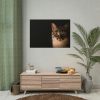 101875-233.jpg Cute Cat with Blue Eyes Poster