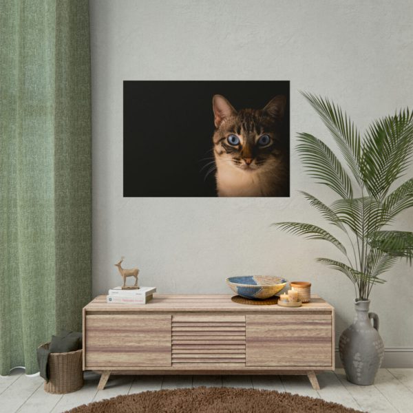 101875-233.jpg Cute Cat with Blue Eyes Poster