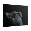 Cute Gray Cat Poster