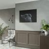 Cute Gray Cat Poster