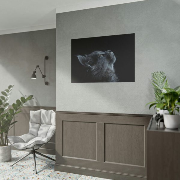 Cute Gray Cat Poster