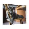 101875-242.jpg Beautiful Cat on Chair Poster