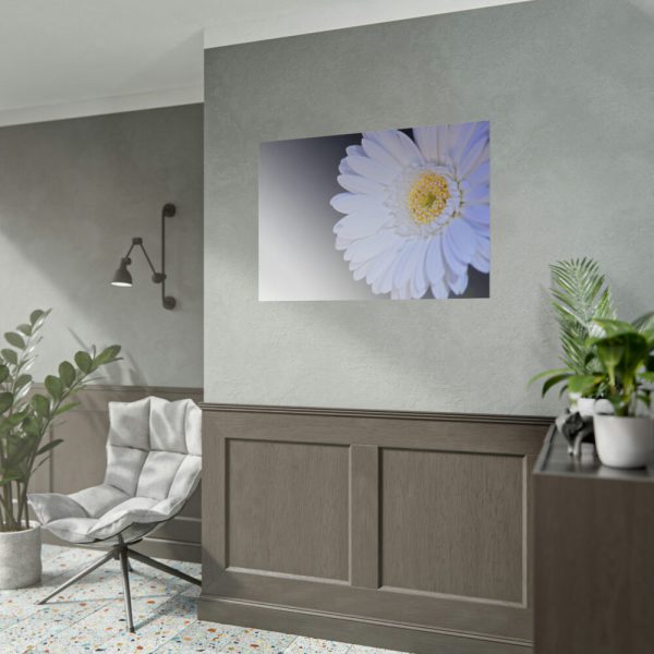101875-249.jpg White Gerbera Poster