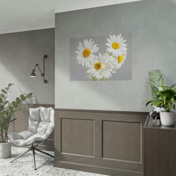White Daisy Bloom Poster