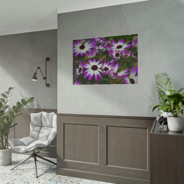 101875-264.jpg Purple Garden Cosmos Poster