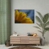 101875-268.jpg Daisy Gerbera Poster