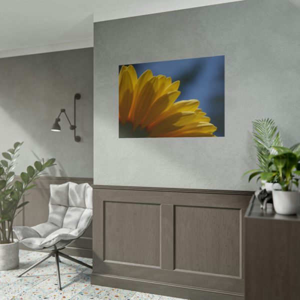 101875-269.jpg Daisy Gerbera Poster