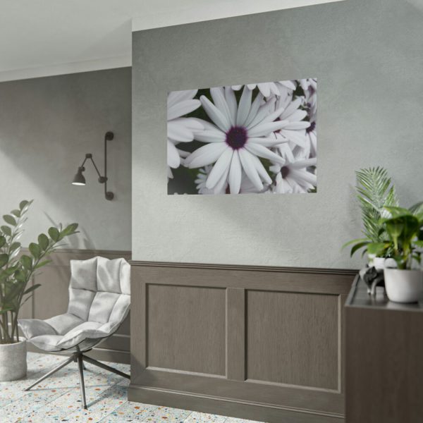 101875-274.jpg Flower Petal Poster
