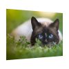 Cat Hunting Poster