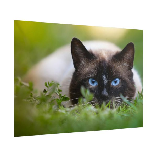 Cat Hunting Poster