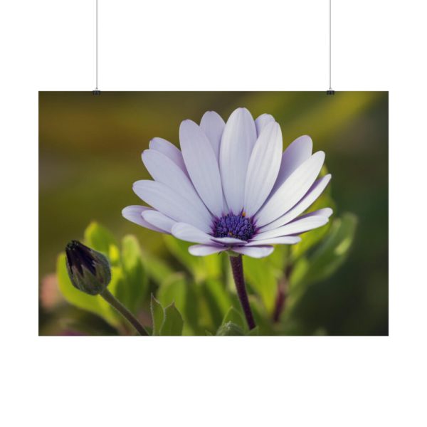 101875-286.jpg Herbaceous Plant Poster