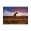 101875-30.jpg Free Dog at Sunset Poster